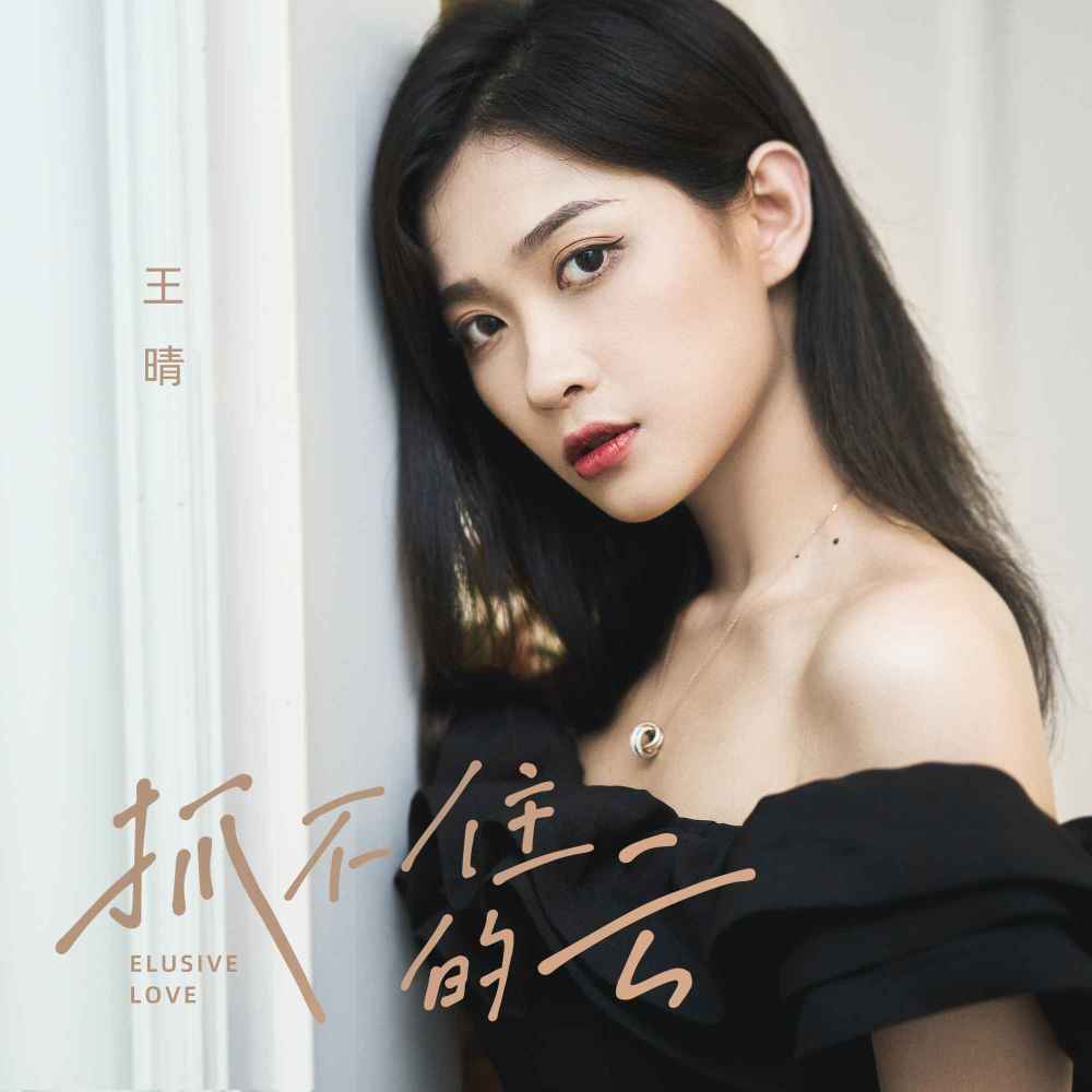抓不住的云 (DJ京仔版伴奏)