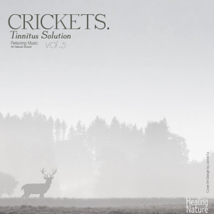 ดาวน์โหลดและฟังเพลง Crikets Sound for Healing พร้อมเนื้อเพลงจาก 힐링 네이쳐 Nature Sound Band