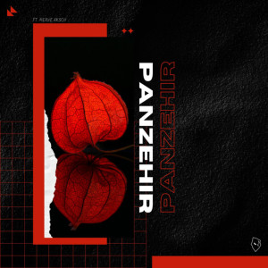 Album Panzehir from Evir