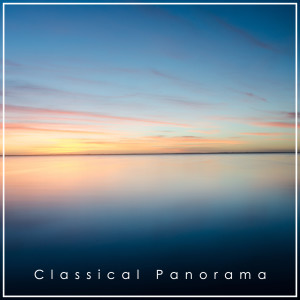 Fryderyk Chopin的專輯Chopin - Classical Panorama