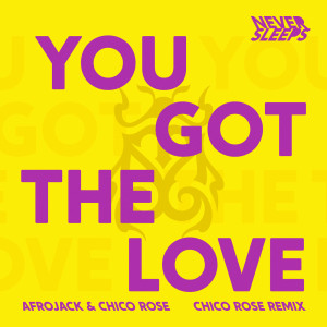 ดาวน์โหลดและฟังเพลง You Got The Love (Chico Rose Remix) พร้อมเนื้อเพลงจาก Never Sleeps