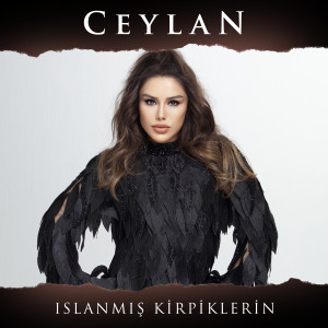 Listen to Islanmış Kirpiklerin song with lyrics from Ceylan