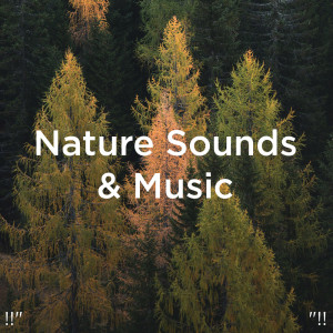 Listen to Baby Sleep Water Sounds song with lyrics from Yoga