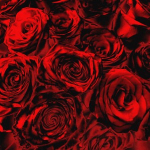 Listen to basym! (Explicit) song with lyrics from adasqanzhau