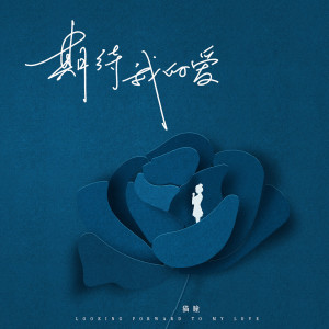 Listen to 期待我的爱 song with lyrics from 良音制噪