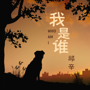 收聽祁辛的我是誰歌詞歌曲