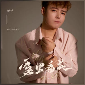 Album 雾里看花 oleh 杨小壮