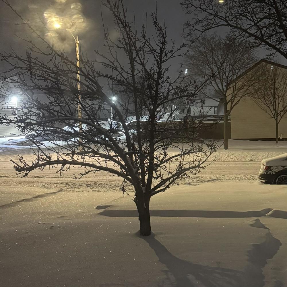So Cold (Explicit)