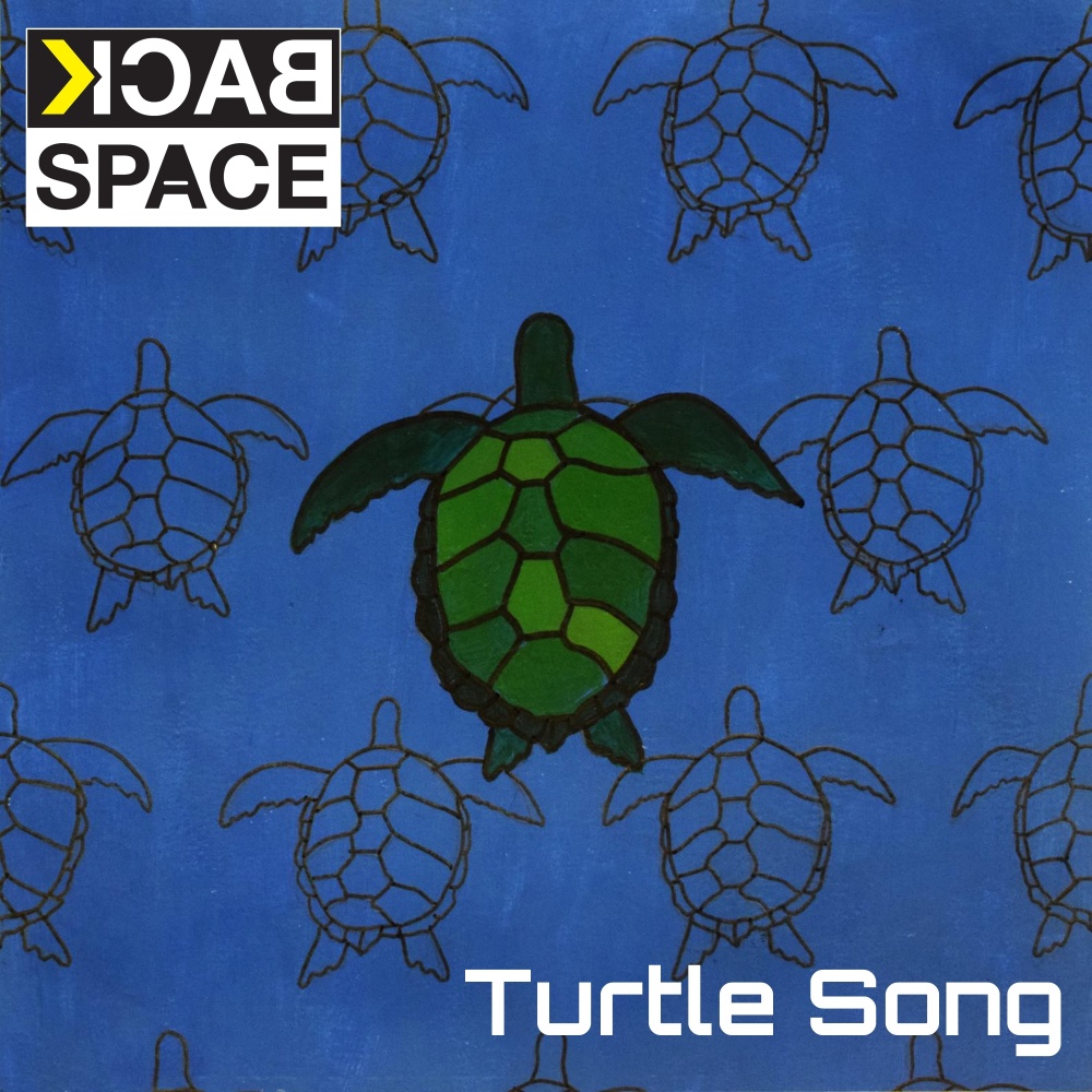 Turtle Song