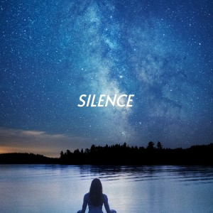 Listen to The Sound of Silence song with lyrics from The Bachelors