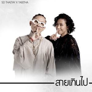 อัลบัม สายเกินไป ศิลปิน SDthaitay