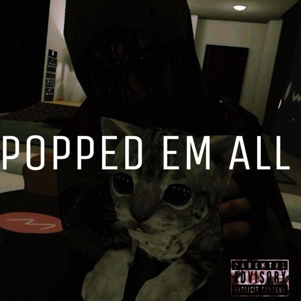 Popped Em All (Explicit)