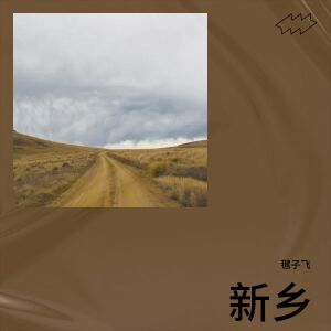 Album 新乡 from 毽子飞
