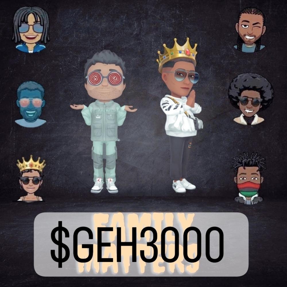 $ GEH3000