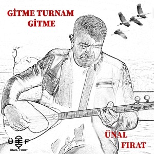 Album Gitme Turnam Gitme from Ünal Fırat