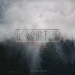 Album Лихоліття from Ліра