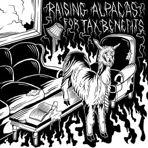 อัลบัม Raising Alpacas for Tax Benefits ศิลปิน Amero