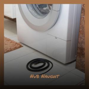 Dengarkan Nub Naught lagu dari Tord Valea dengan lirik