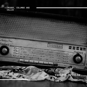 Listen to Was That the Human Thing to Do? song with lyrics from Rudy Vallee And His Connecticut Yankees