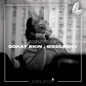 Dengarkan lagu Waiting nyanyian Gökay Ekin dengan lirik