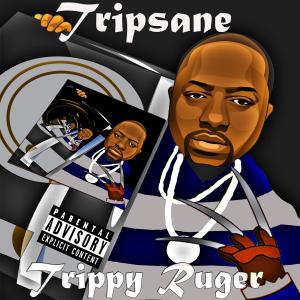 Tripsane的專輯Trippy Ruger (Explicit)