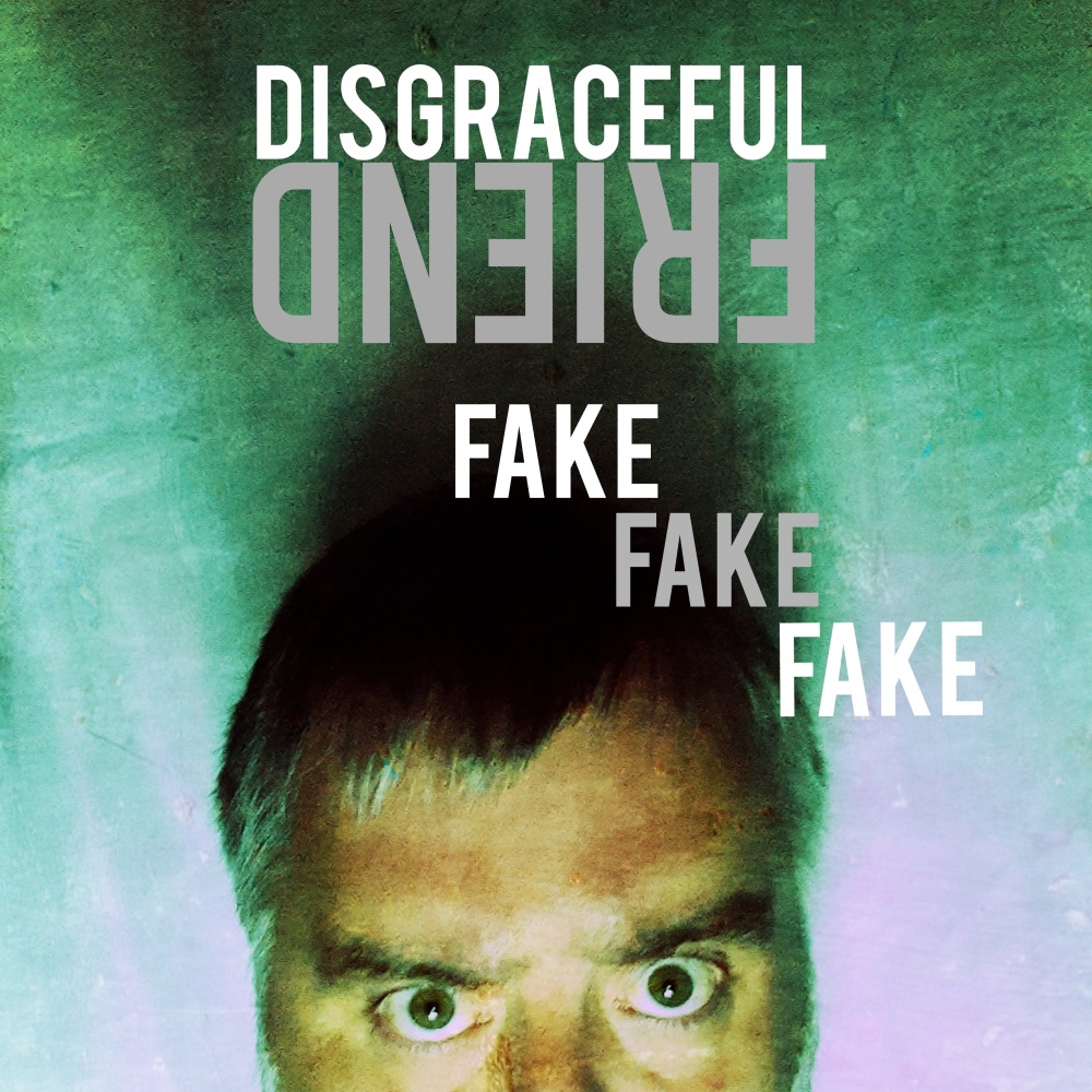 Fake Fake Fake (Radio Edit)