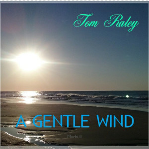 ดาวน์โหลดและฟังเพลง To Be a Better Man พร้อมเนื้อเพลงจาก Tom Raley