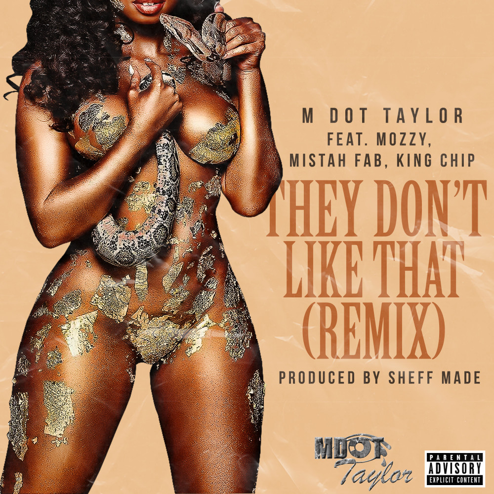 They Don't Like That (Remix|Explicit)