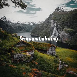Dengarkan lagu Somnambulating (完整版) nyanyian 羽肿 dengan lirik