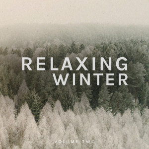 Various Artists的專輯Relaxing Winter, Vol. 2