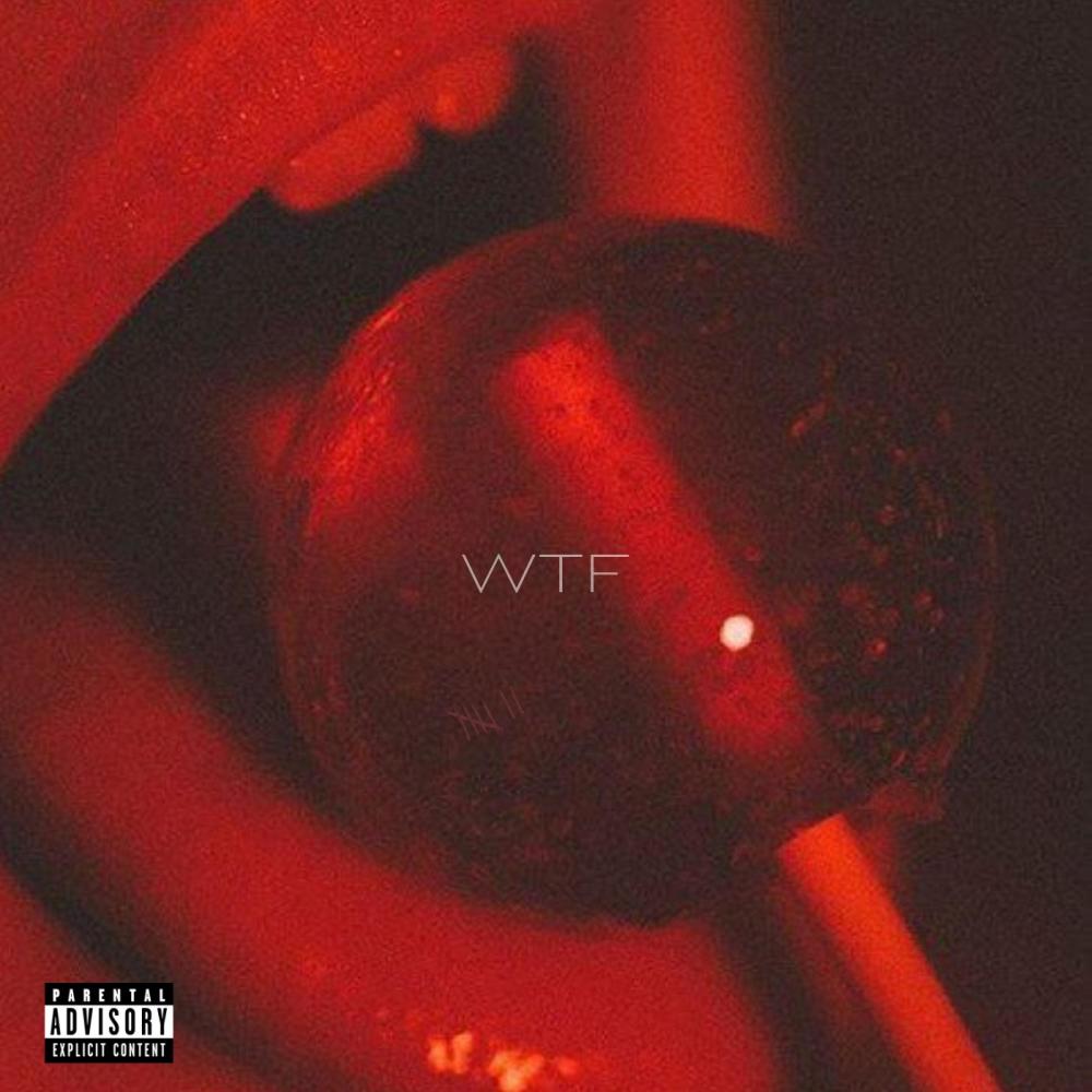 WTF (feat. Palculinho) (Explicit)