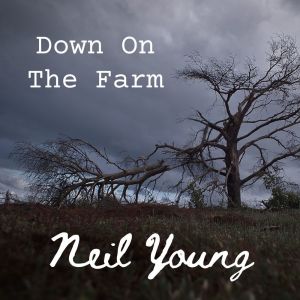 Neil Young Down On The Farm Live