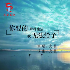Listen to 你要的那种生活我无法给予 (伴奏) song with lyrics from 大效