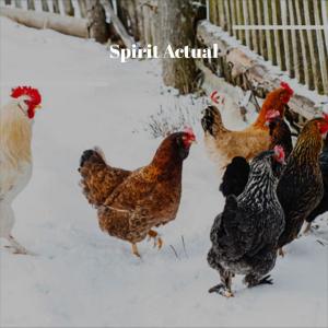 Dengarkan lagu Spirit Actual nyanyian Johan Saer dengan lirik