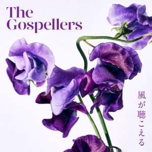 อัลบัม Kazegakikoeru ศิลปิน The Gospellers