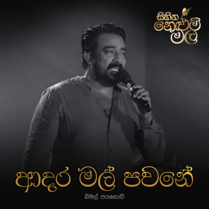 收聽Premasiri Khemadasa的Aadara Mal Pawane歌詞歌曲