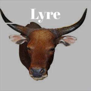 Album Lyre from 