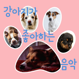 萌犬喜歡的音樂的專輯萌犬喜歡的音樂第一輯