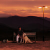 default album img