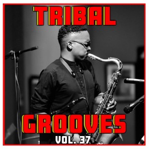 Umar M Sharif的专辑Tribal Grooves Vol. 37