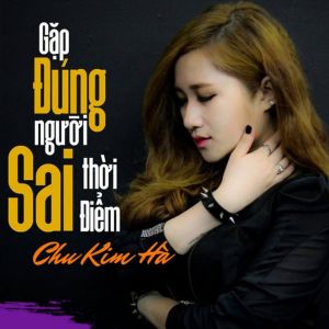 Album Gặp Đúng Người Sai Thời Điểm from 