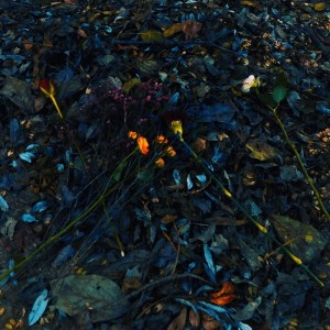 Listen to Lost (Explicit) song with lyrics from ROYAL
