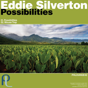 ดาวน์โหลดและฟังเพลง Possibilities พร้อมเนื้อเพลงจาก Eddie Silverton