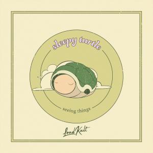 ดาวน์โหลดและฟังเพลง seeing things พร้อมเนื้อเพลงจาก Sleepy Turtle
