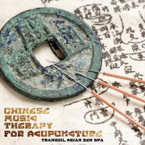 收聽Chinese Yang Qin Relaxation Man的Malaysia Melody歌詞歌曲