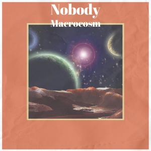 Listen to Nobody Macrocosm song with lyrics from Seon Dert