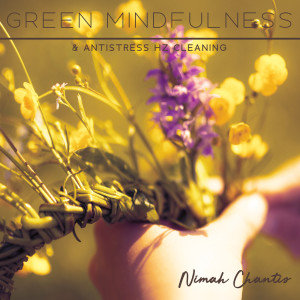 Green Mindfulness & Antistress Hz Cleaning