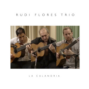收聽Rudi Flores Trio的La Yerra歌詞歌曲
