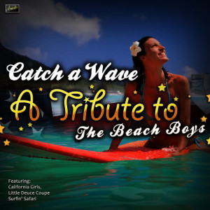 ดาวน์โหลดและฟังเพลง Rock and Roll Music พร้อมเนื้อเพลงจาก Ameritz Tribute Club