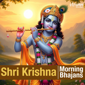 Iwan Fals & Various Artists的專輯Shri Krishna (Morning Bhajans)